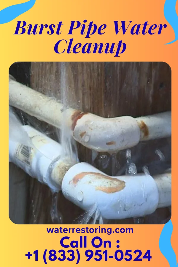 Burst Pipe Water Cleanup in Columbia City, IN