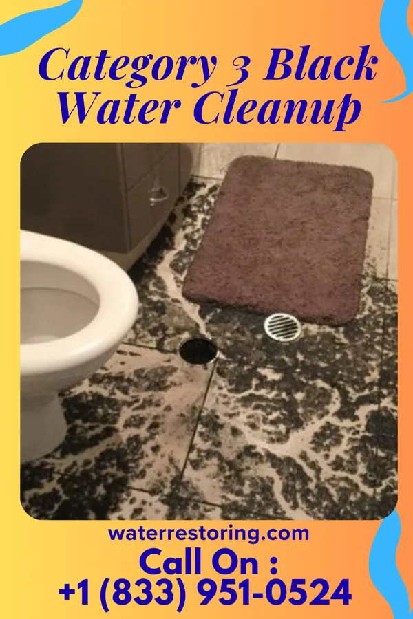 Category 3 Black Water Cleanup in Columbia City, IN