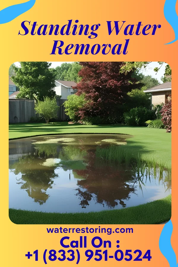 Standing Water Removal in Columbia City, IN